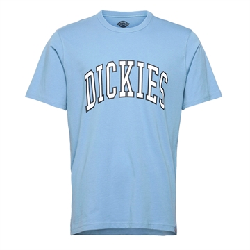 Dickies T-shirt Aitkin Allure Blue